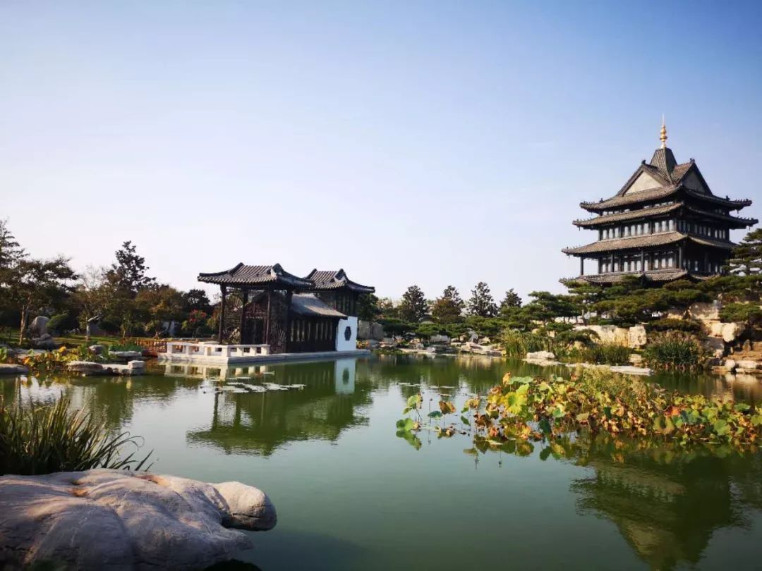 PG电子连续三天！40家媒体聚焦河东是什么让他们如此关注？(图1)