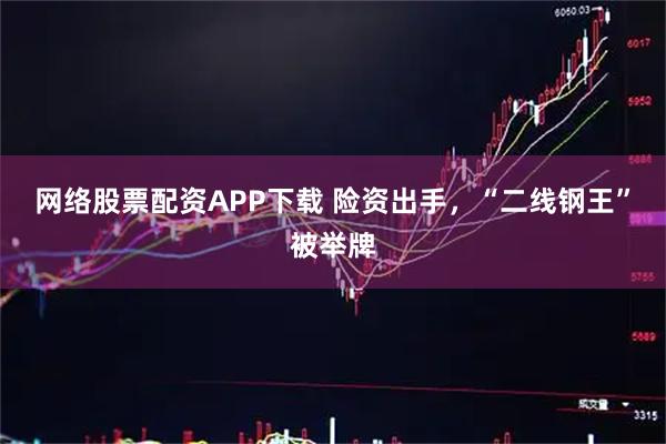 网络股票配资APP下载 险资出手，“二线钢王”被举牌