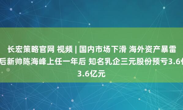 长宏策略官网 视频 | 国内市场下滑 海外资产暴雷 80后新帅陈海峰上任一年后 知名乳企三元股份预亏3.6亿元