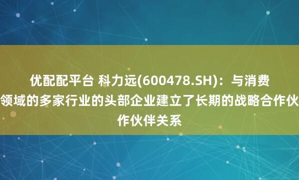 优配配平台 科力远(600478.SH)：与消费类电池领域的多家行业的头部企业建立了长期的战略合作伙伴关系